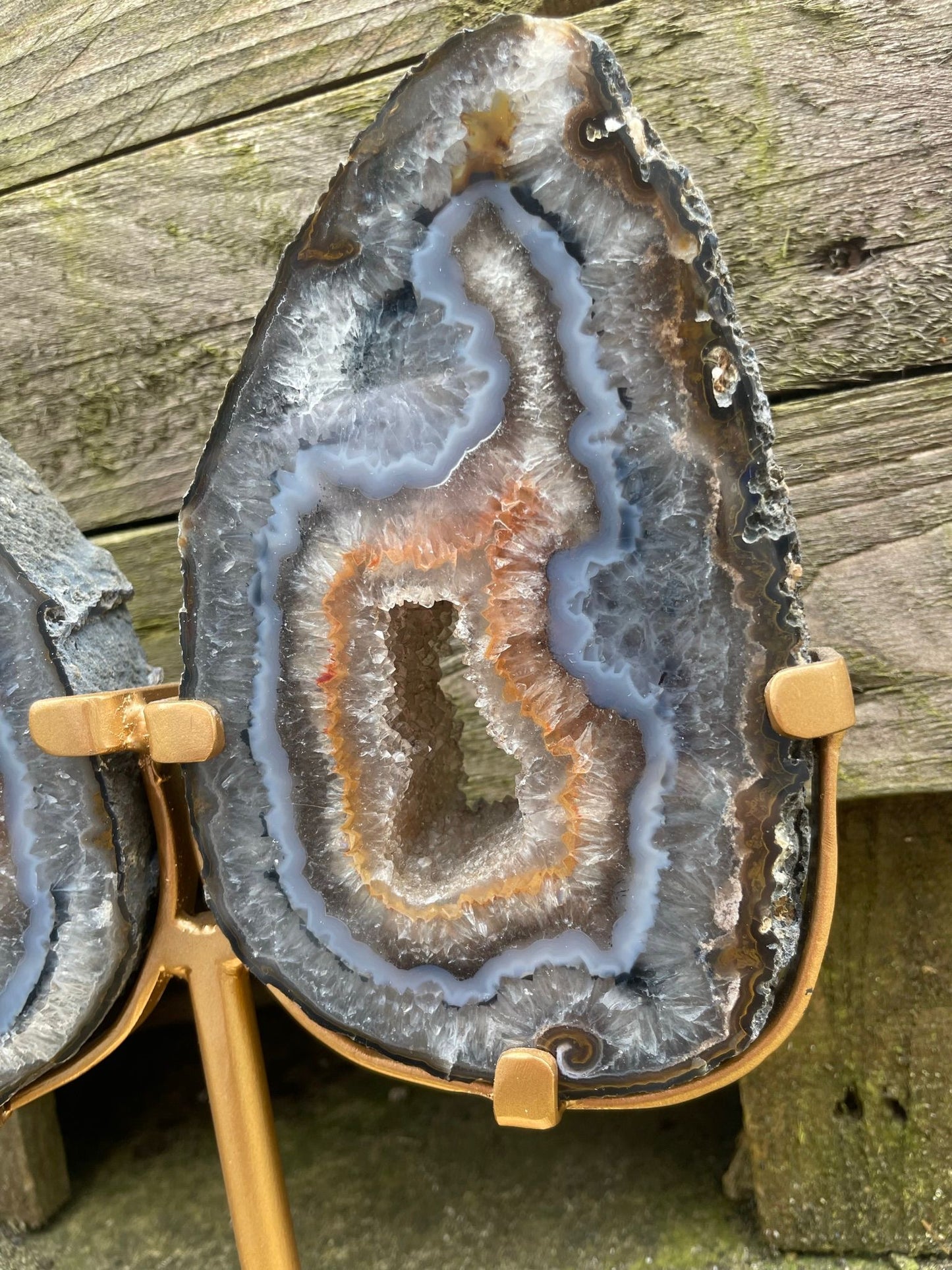 Agate Wings image 4