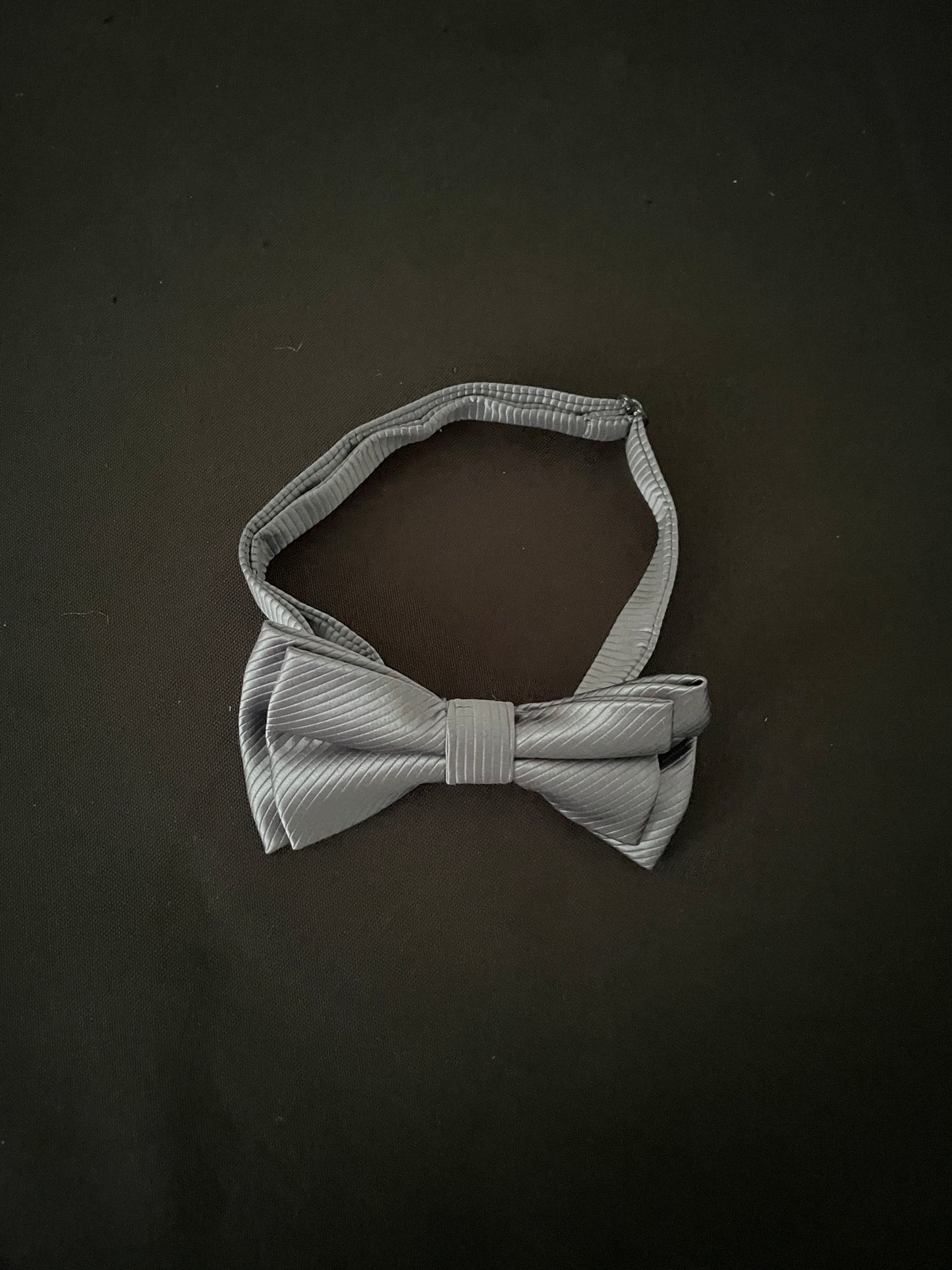 Silver Bow Tie image 1