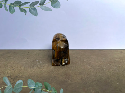 Tiger's Eye Polar Bear image 1