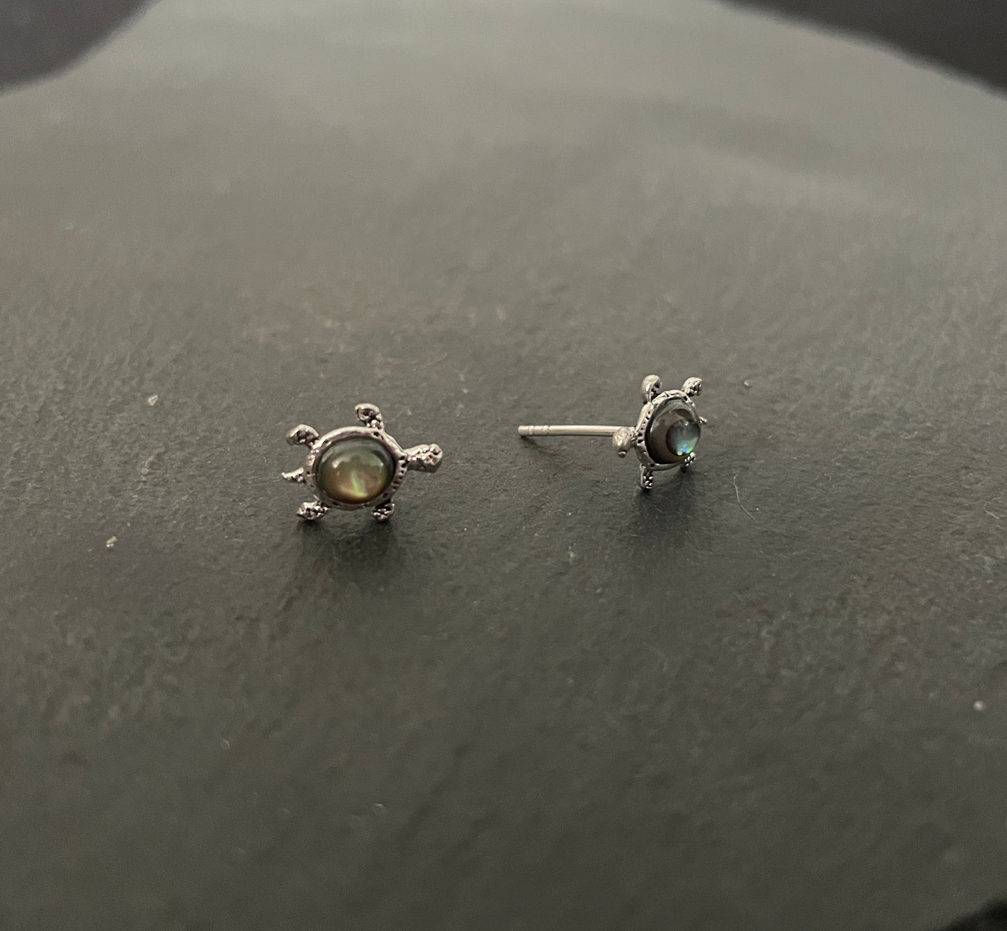 Paua Shell Turtle Studs image 1