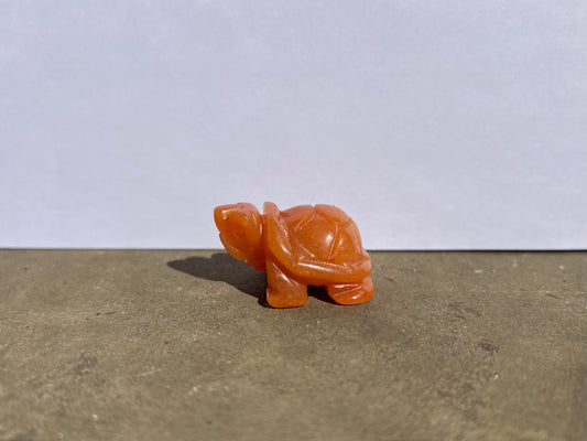 Carnelian Turtle image 1