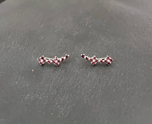 Flower Ear Climbers image 1