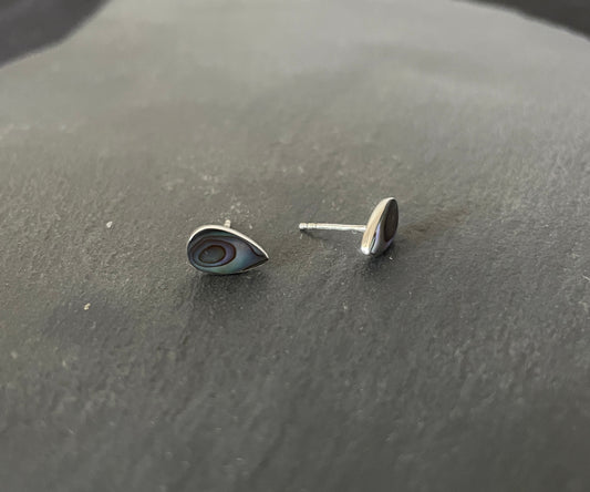 Paua Shell Teardrop Studs image 1