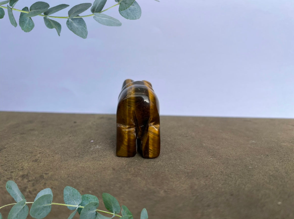 Tiger's Eye Polar Bear image 3