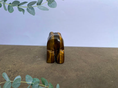 Tiger's Eye Polar Bear image 3