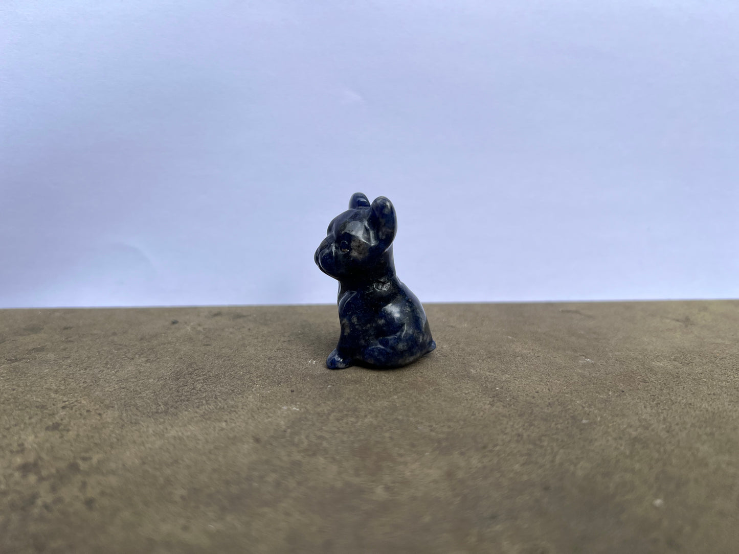 Sodalite French Bulldog image 2