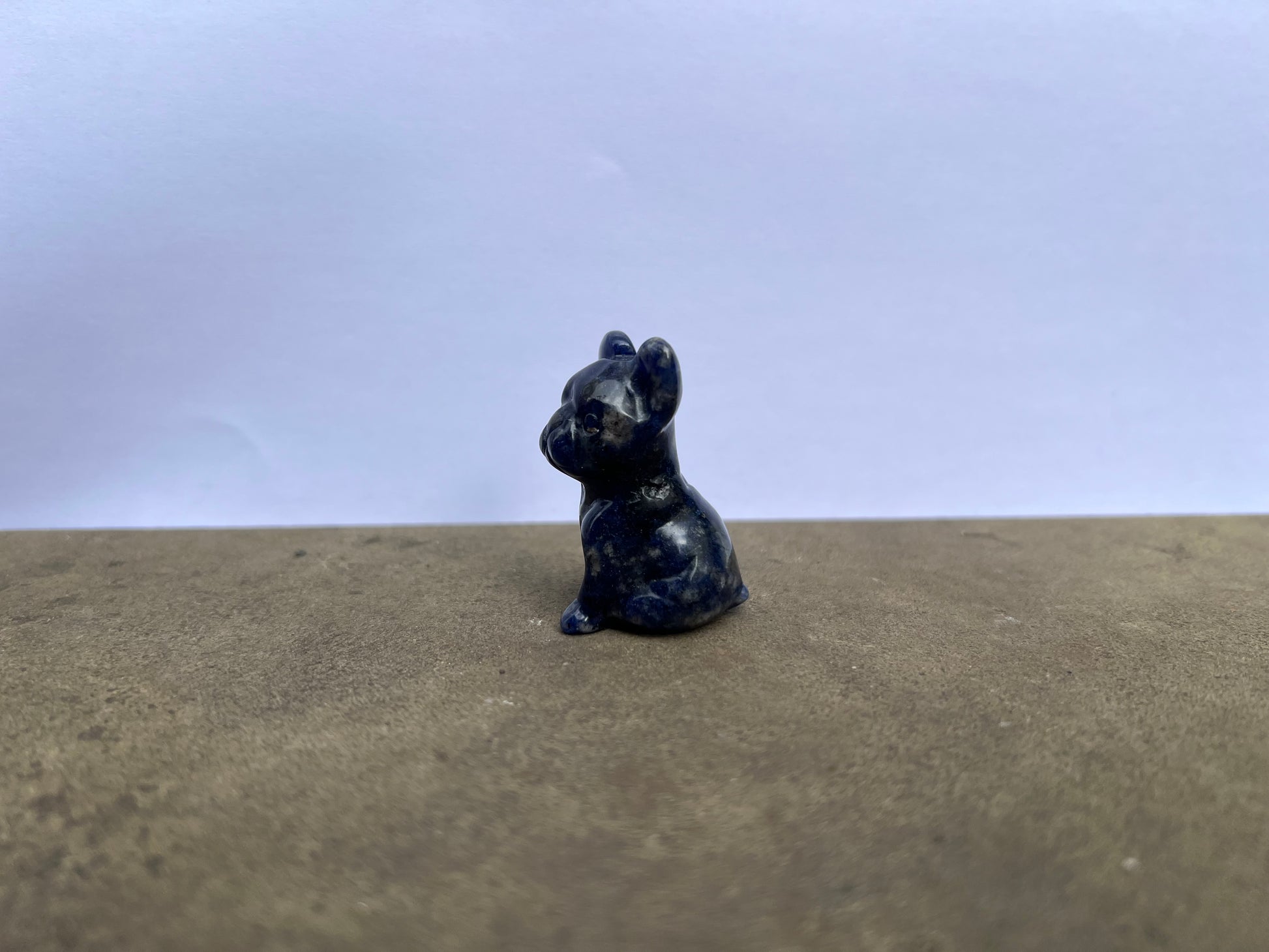 Sodalite French Bulldog image 2