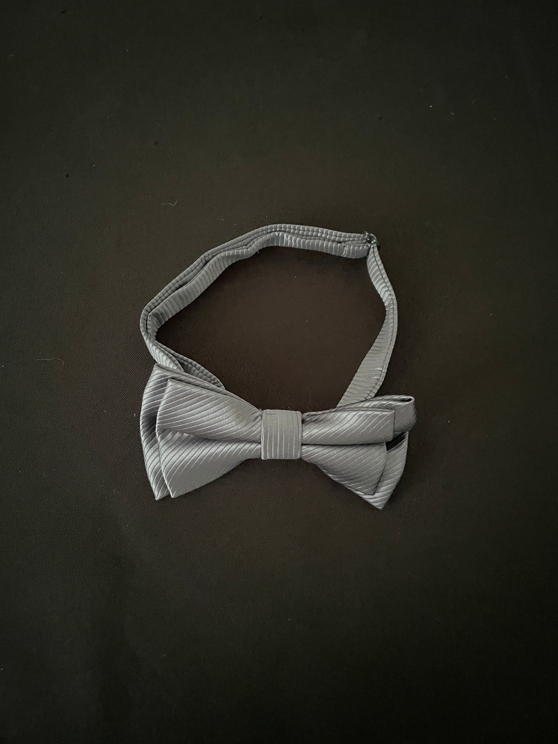 Silver Bow Tie image 1