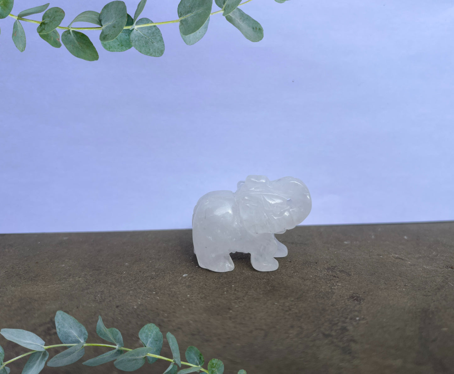Clear Quartz Elephant image 0
