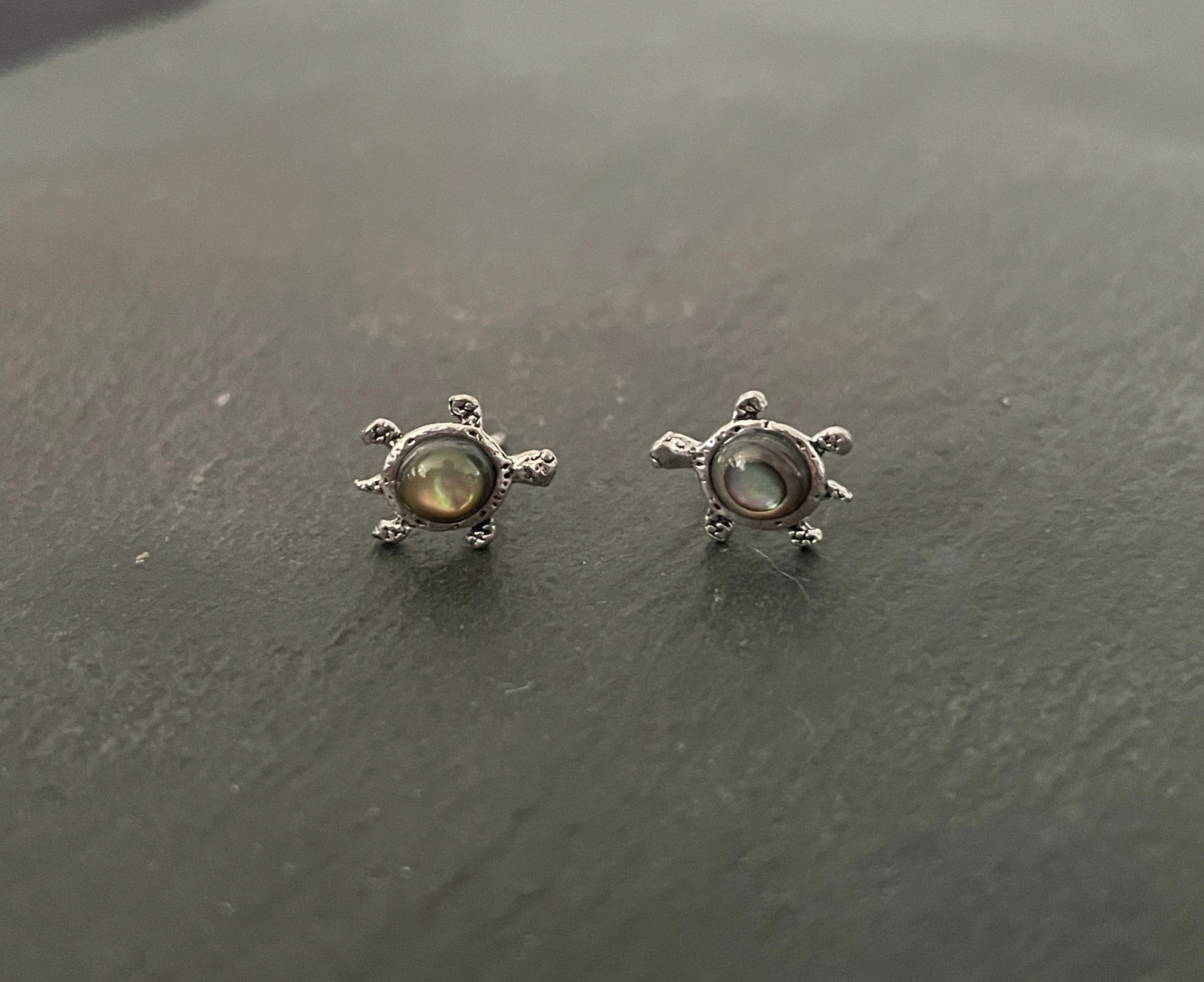 Paua Shell Turtle Studs image 0