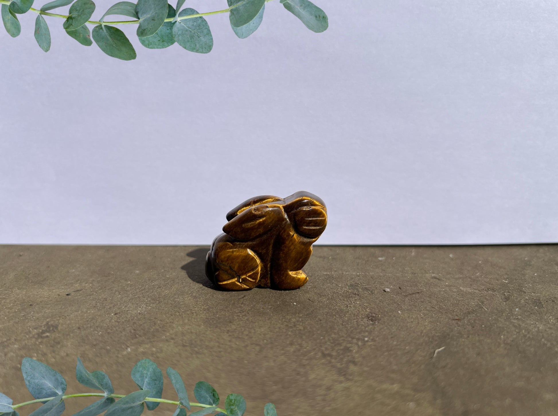 Tiger's Eye Rabbit image 0
