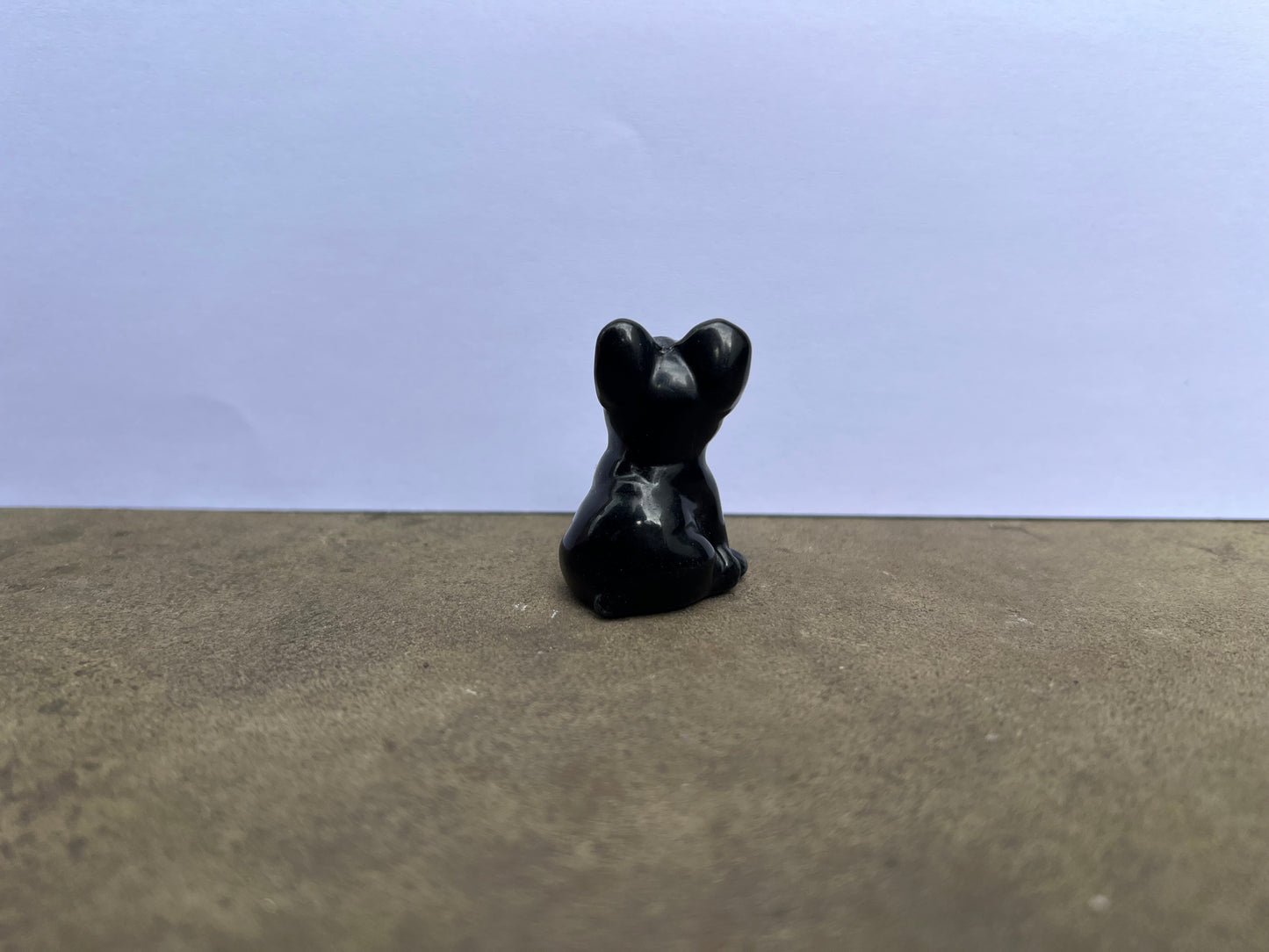 Black Obsidian French Bulldog image 2
