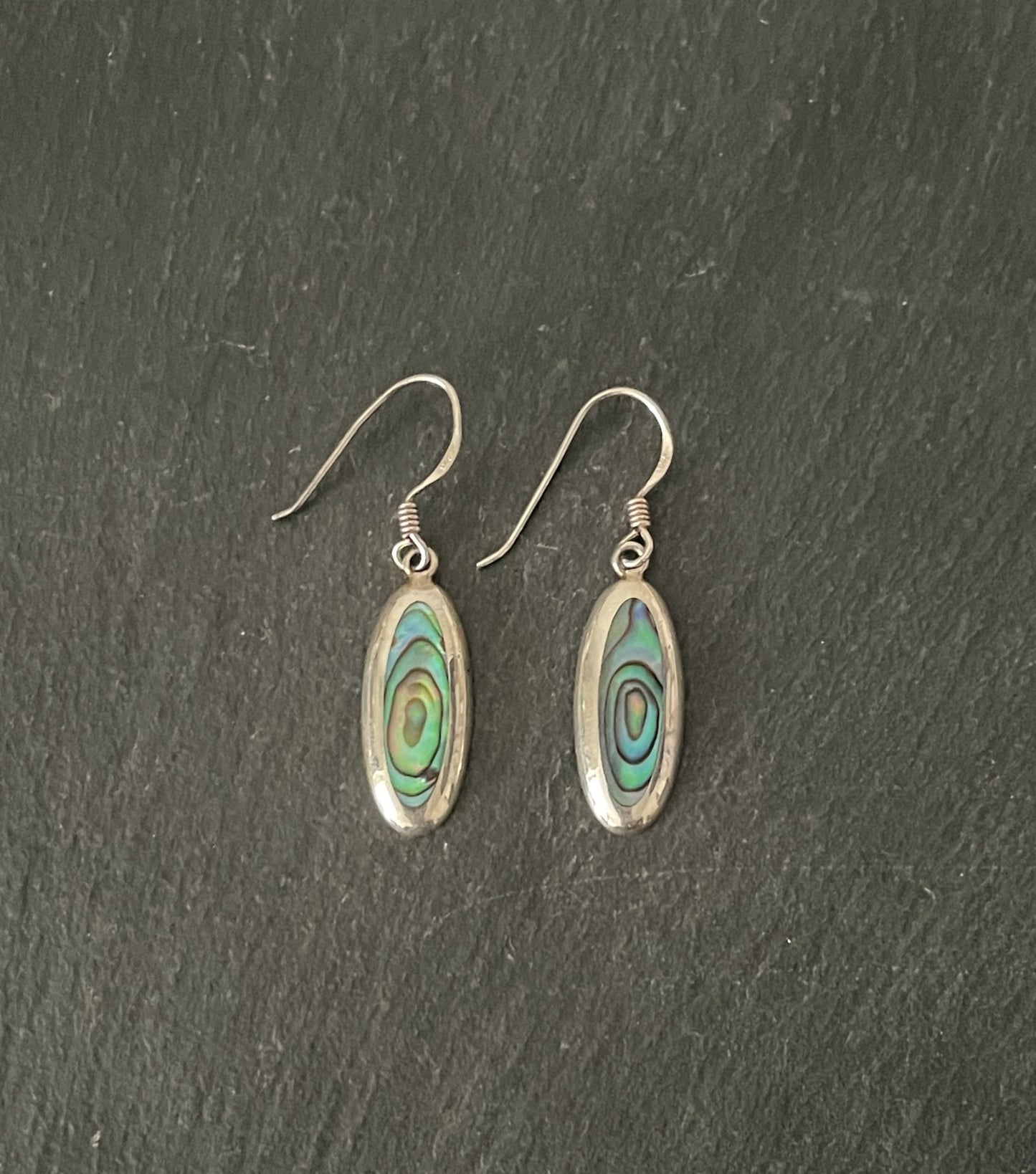 Paua Shell Long Oval and Silver Earrings image 0