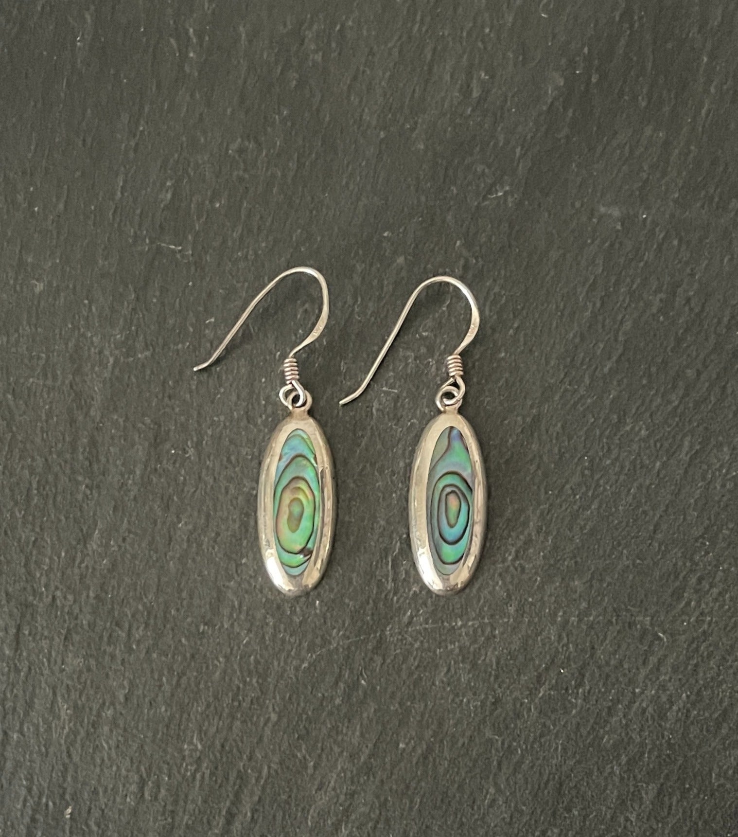 Paua Shell Long Oval and Silver Earrings image 0