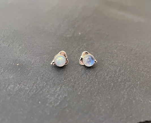 Moonstone Studs image 0