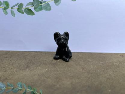 Black Obsidian French Bulldog image 0