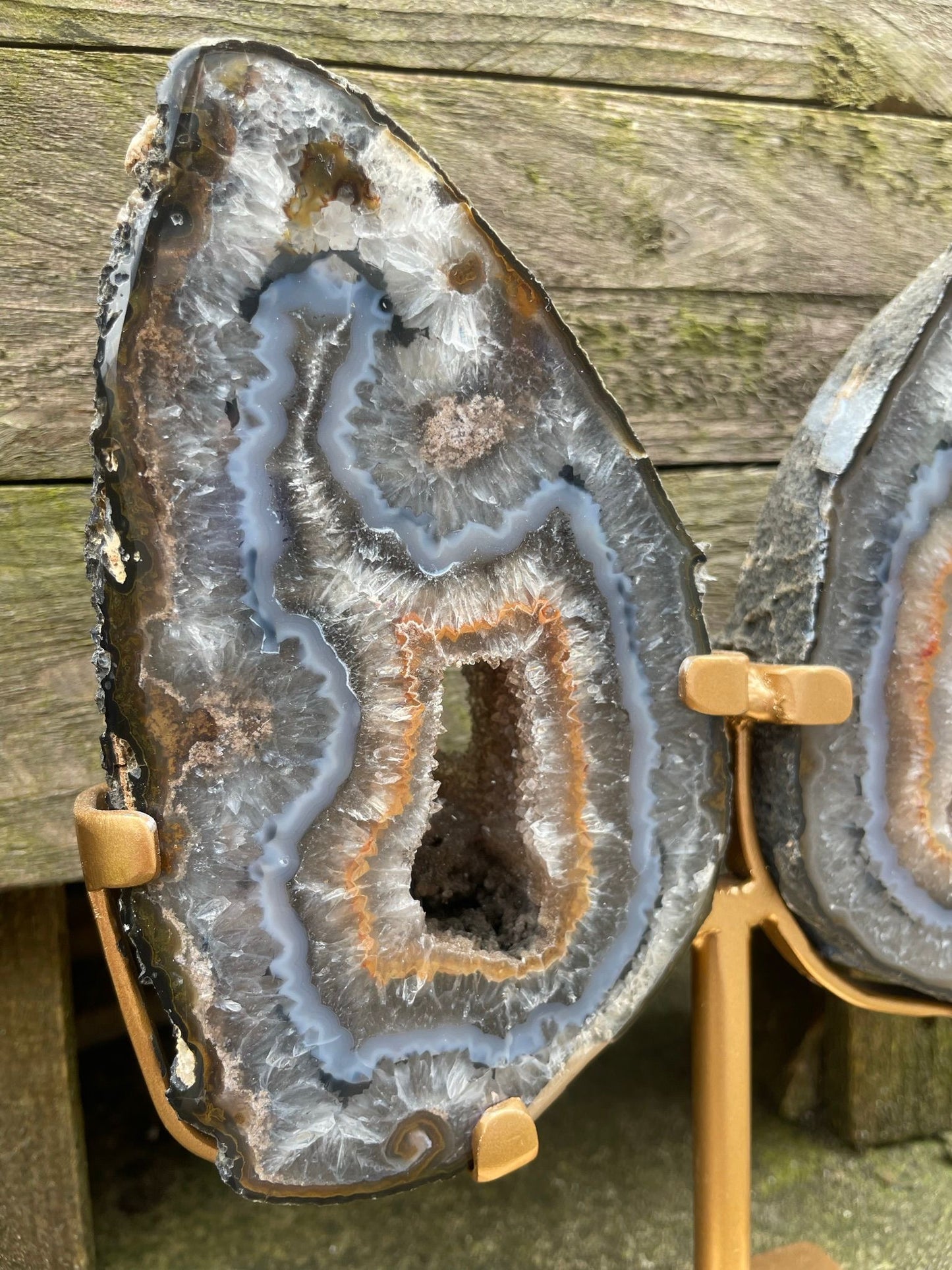 Agate Wings image 3