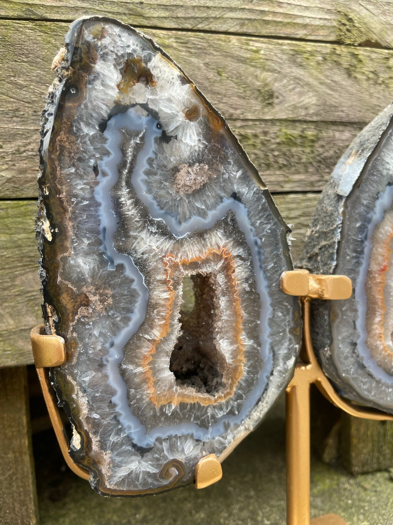 Agate Wings image 3