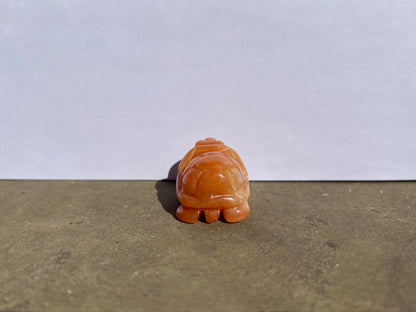 Carnelian Turtle image 2