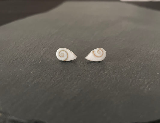 Shiva Shell Teardrop Stud Earrings image 0