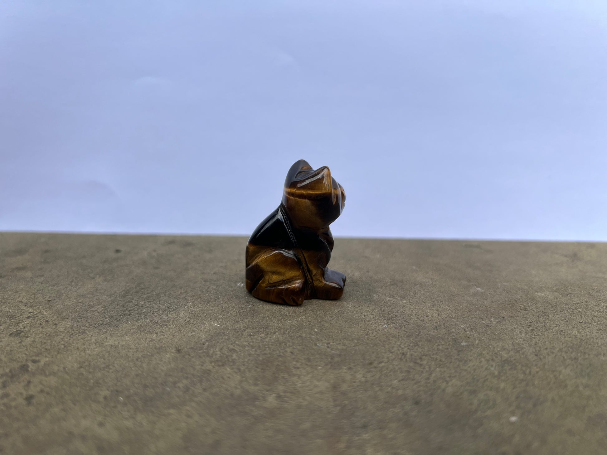 Tiger's Eye Cat image 3
