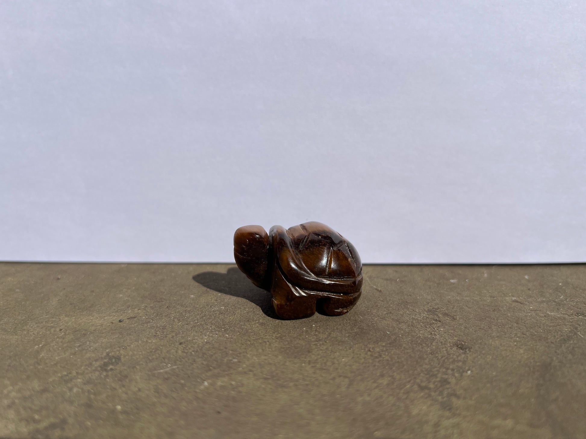 Tiger's Eye Turtle image 2