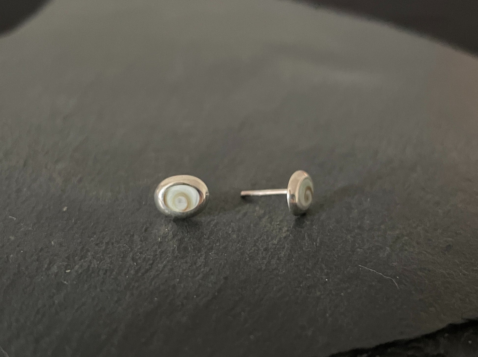 Shiva Shell Oval Stud Earrings image 1