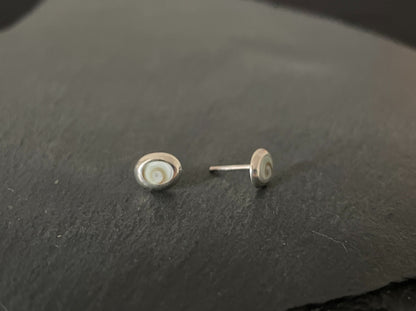 Shiva Shell Oval Stud Earrings image 1