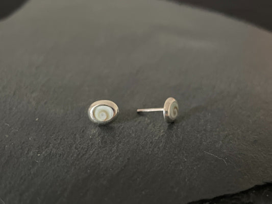 Shiva Shell Oval Stud Earrings image 1