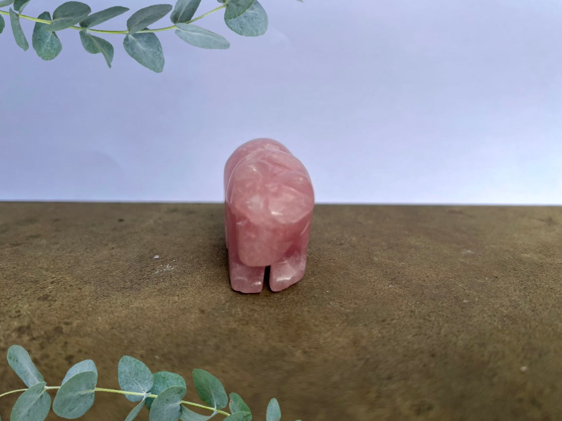 Rose Quartz Polar Bear image 2
