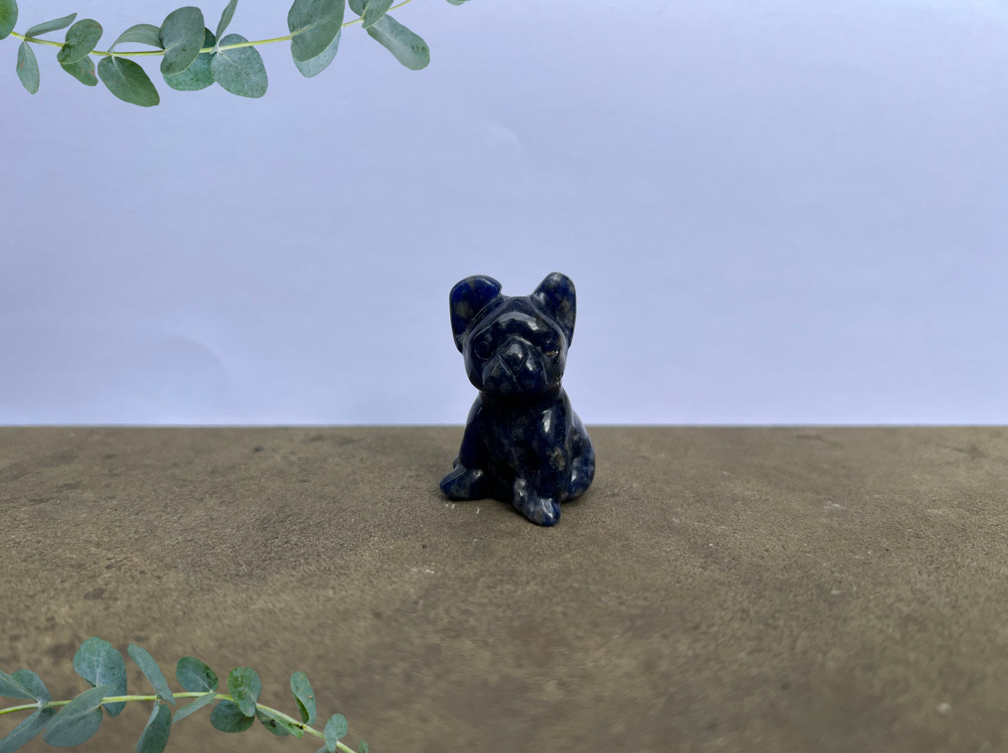 Sodalite French Bulldog image 0