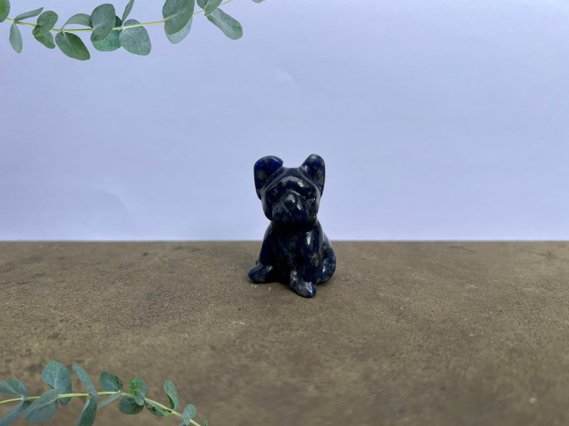 Sodalite French Bulldog image 0