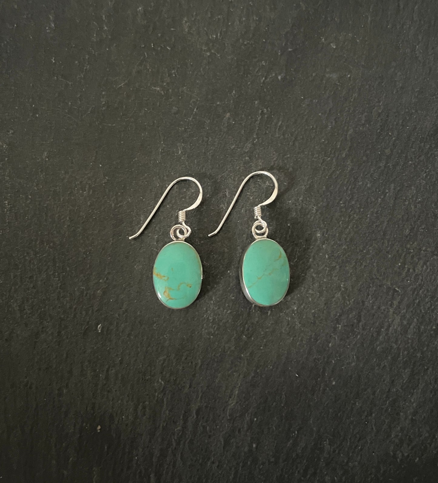 Oval Turquoise and Silver Earrings image 0