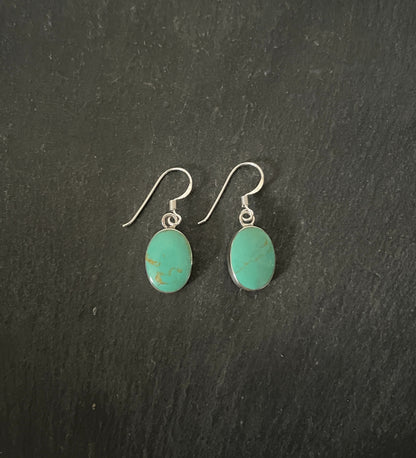 Oval Turquoise and Silver Earrings image 0