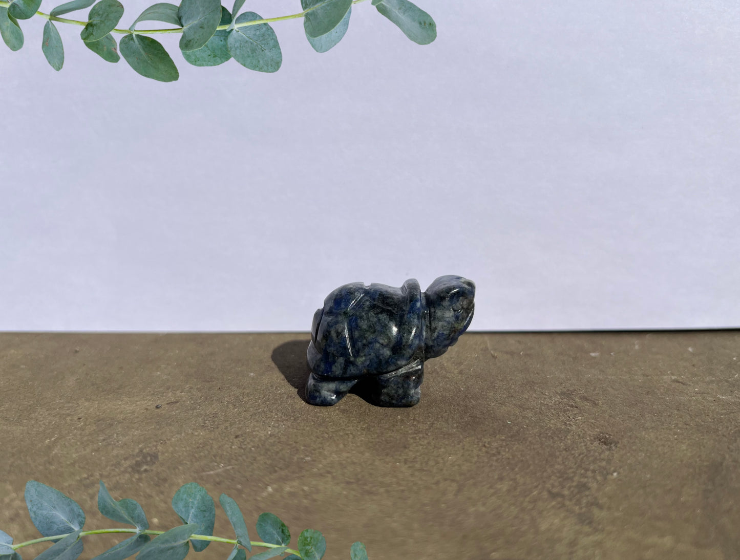 Sodalite Turtle image 0