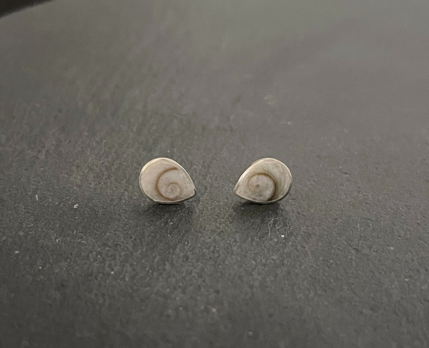 Shiva Shell Teardrop Stud Earrings image 0