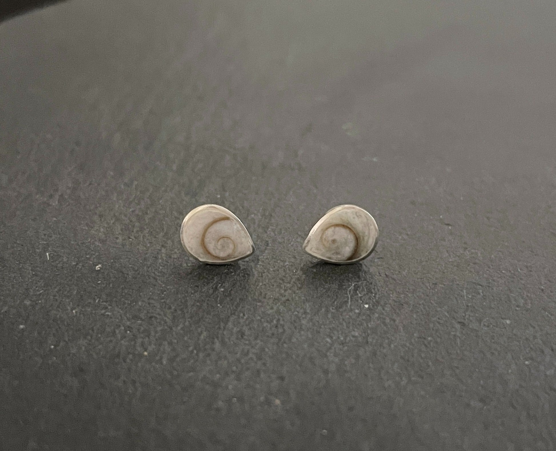 Shiva Shell Teardrop Stud Earrings image 0