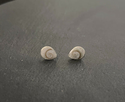 Shiva Shell Teardrop Stud Earrings image 0