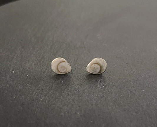 Shiva Shell Teardrop Stud Earrings image 0
