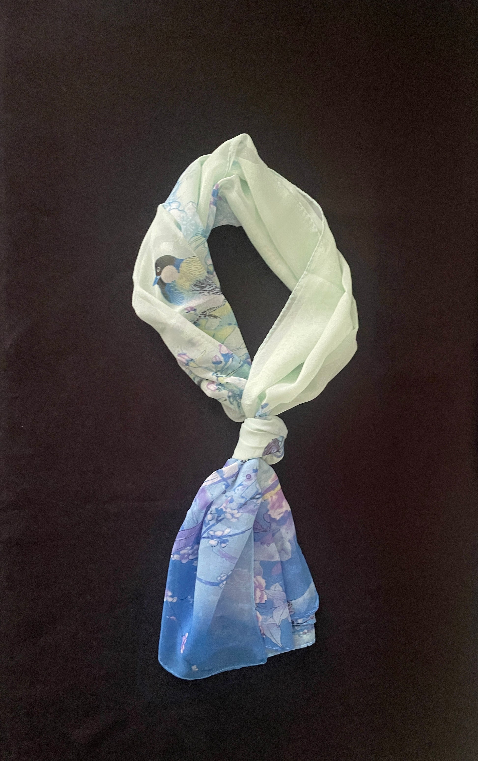Bird Scarf image 7