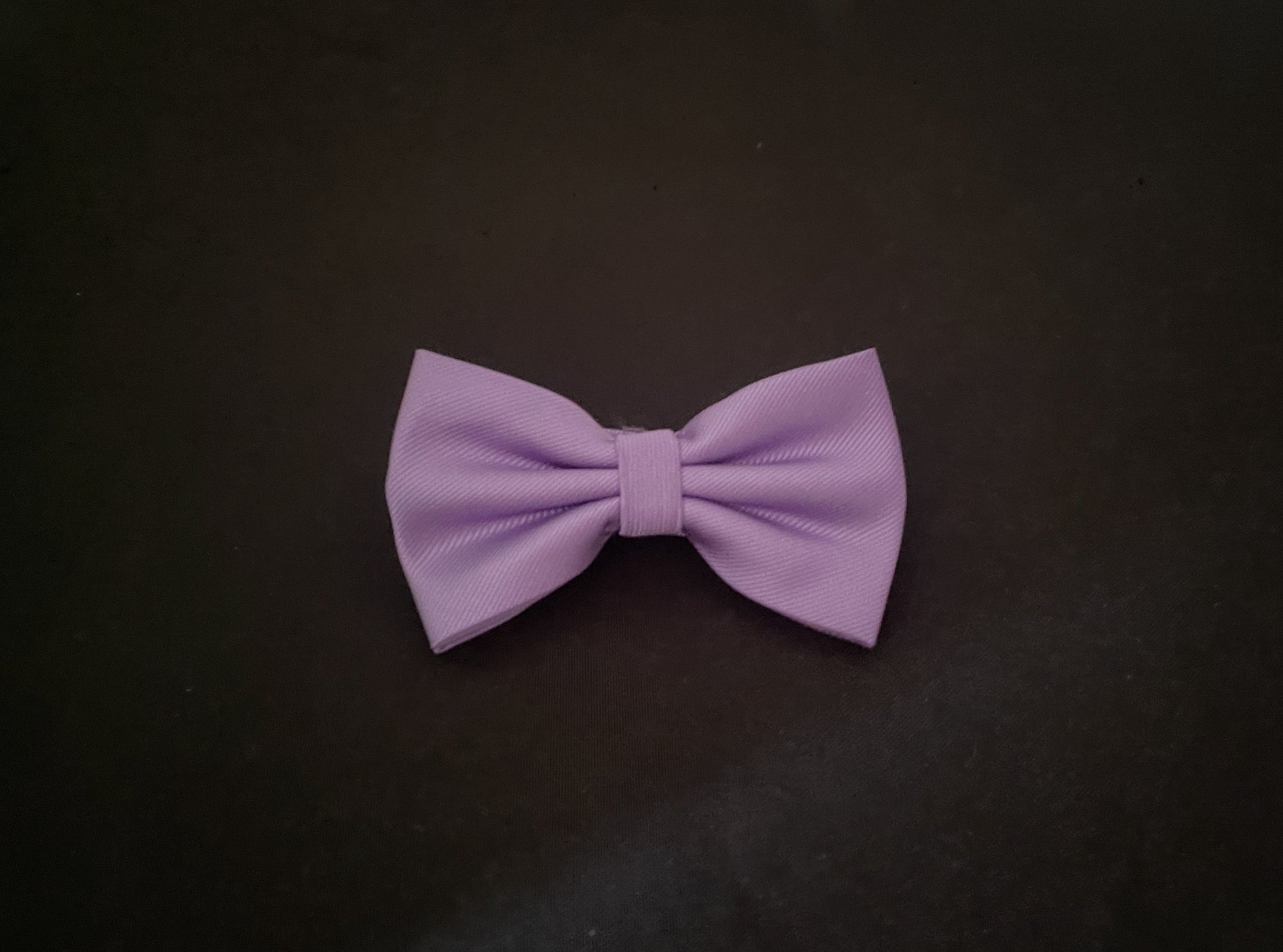 Purple Bow Tie image 0