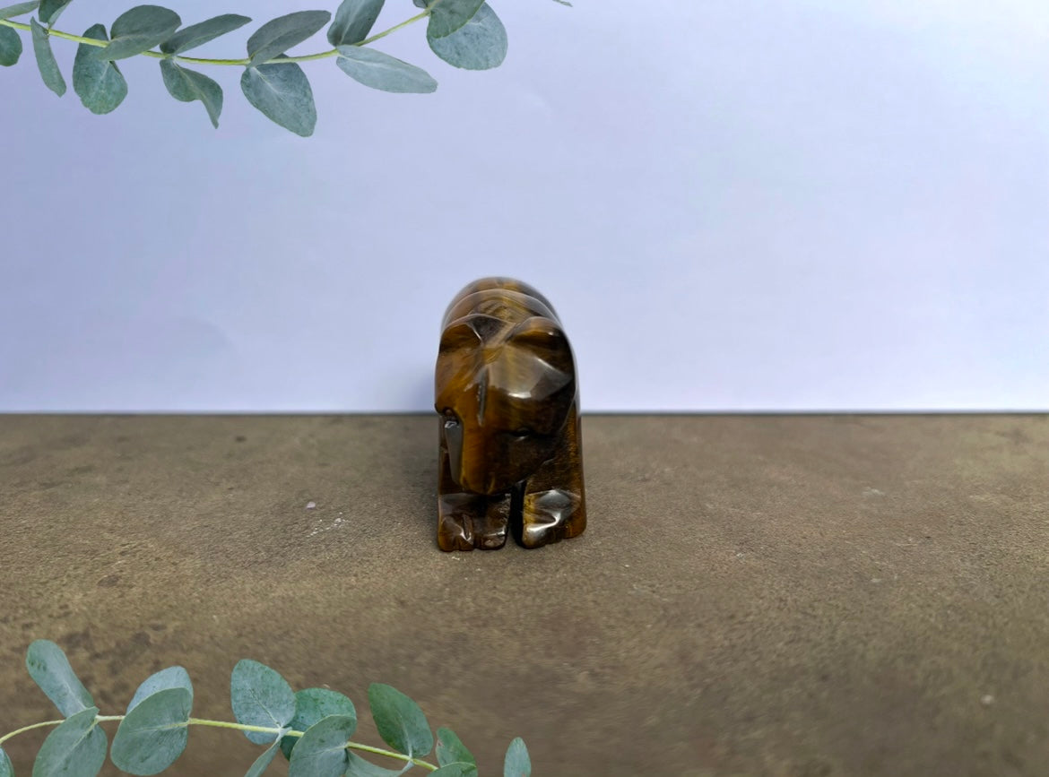 Tiger's Eye Polar Bear image 1