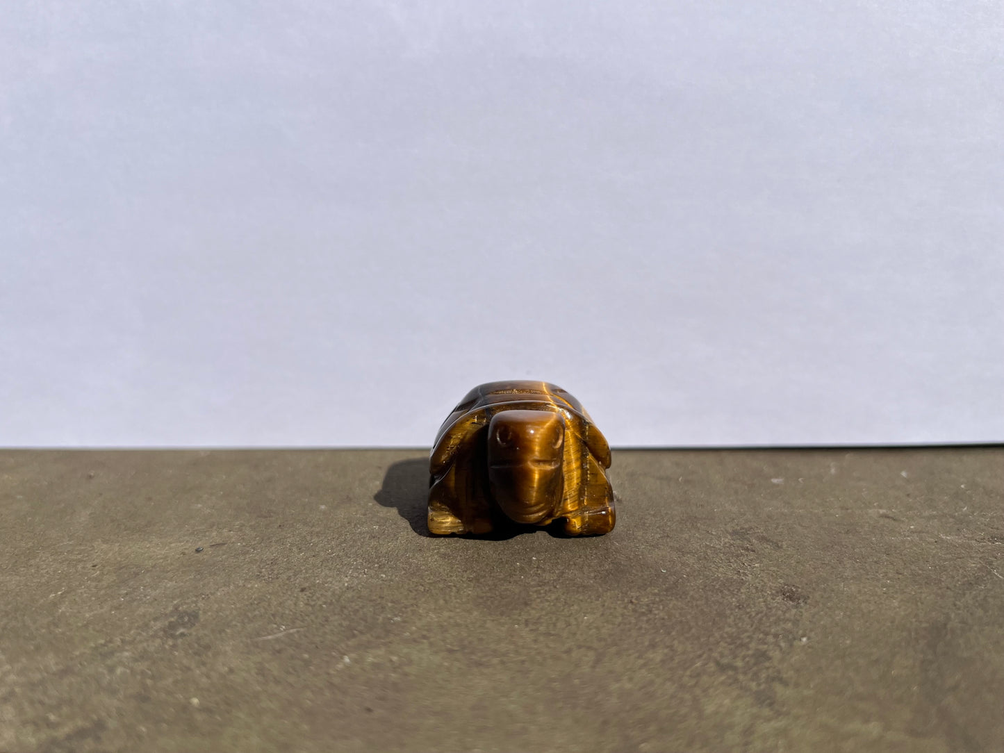 Tiger's Eye Turtle image 1