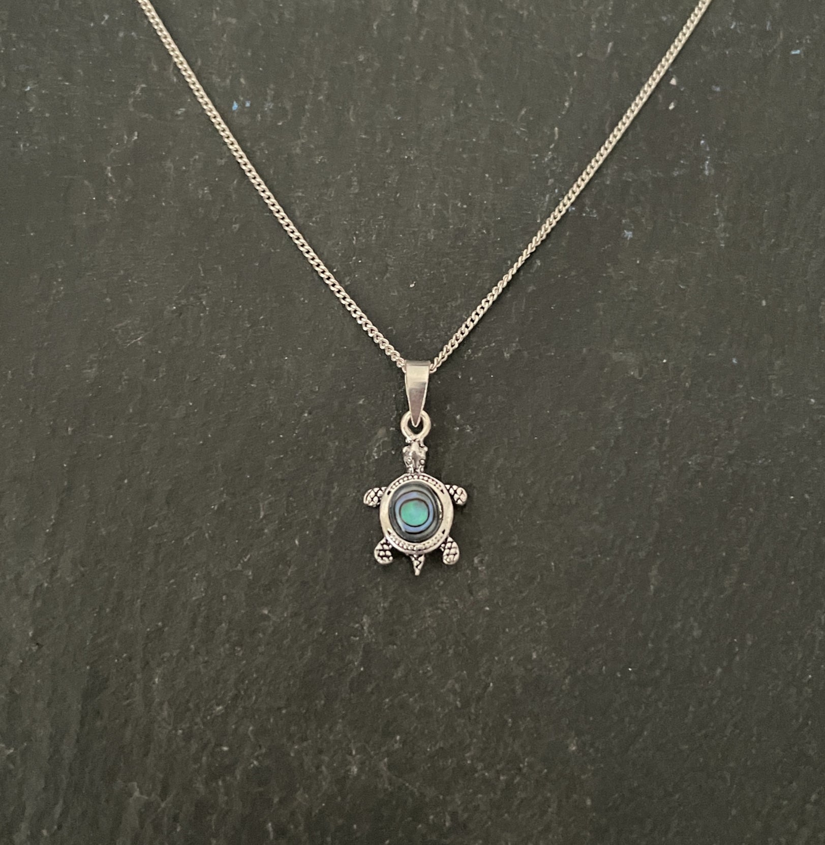 Paua Shell and Silver Turtle Pendant image 0