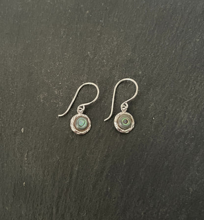 Paua Shell Round Earrings image 0