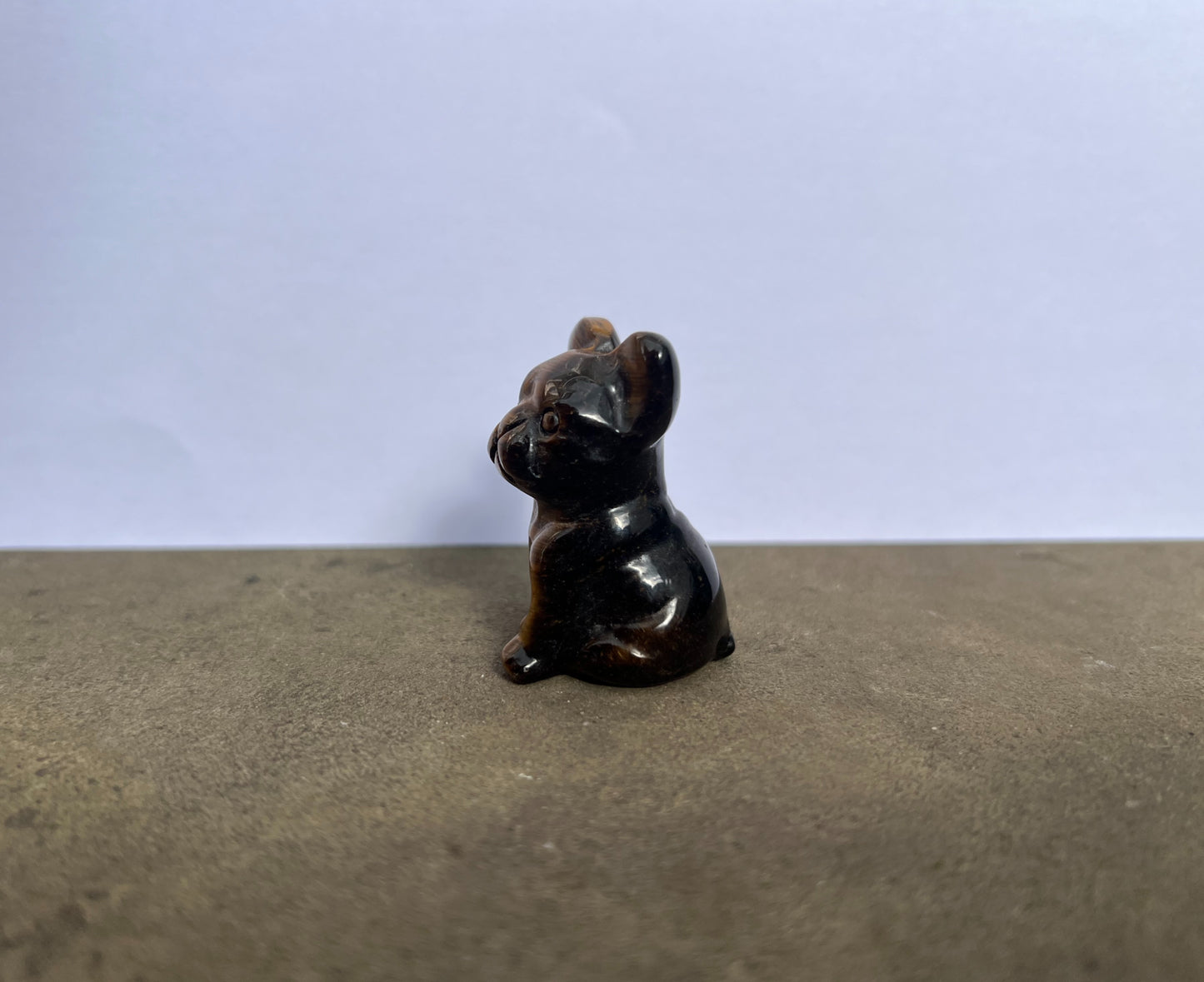 Tiger's Eye French Bulldog image 3
