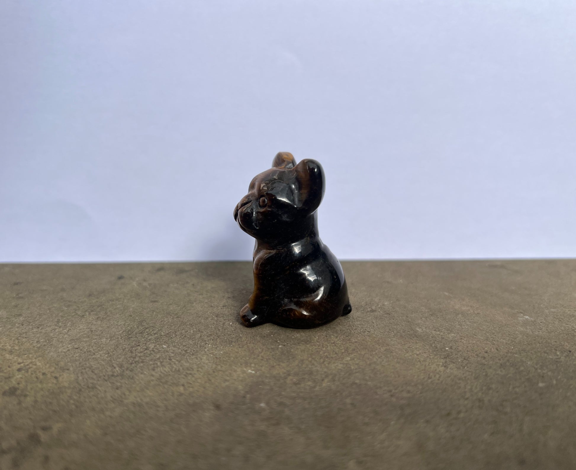 Tiger's Eye French Bulldog image 3