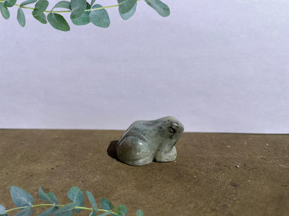 Labradorite Frog image 0
