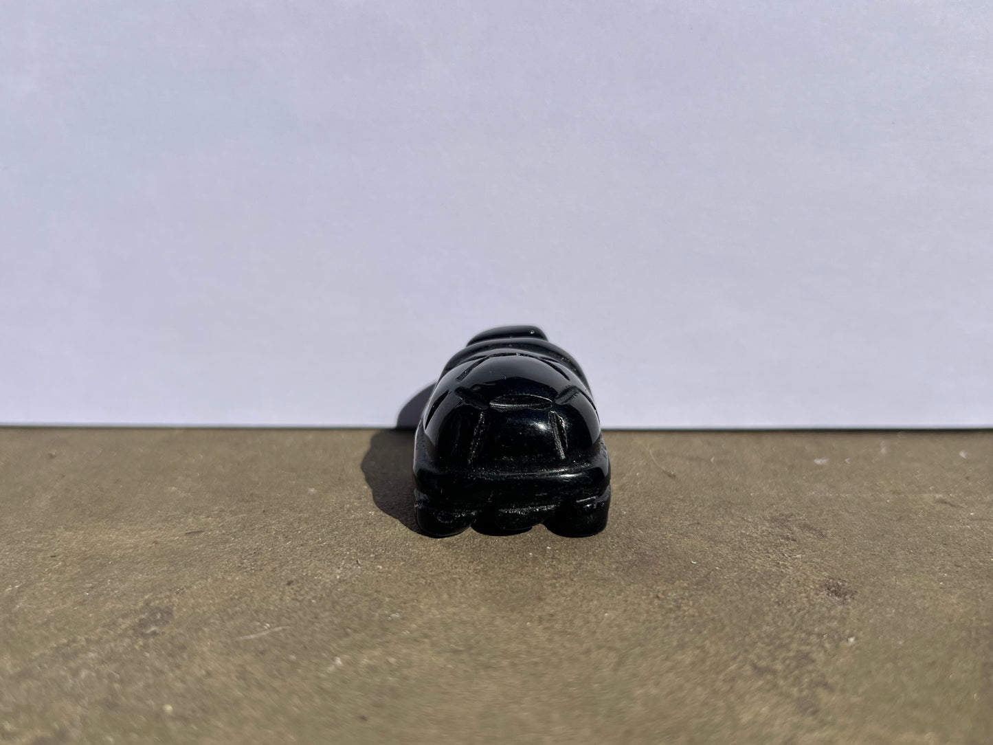 Black Obsidian Turtle image 3