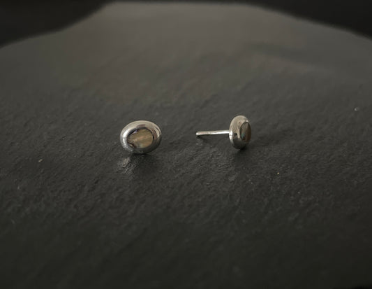 Paua Shell Oval Studs image 1